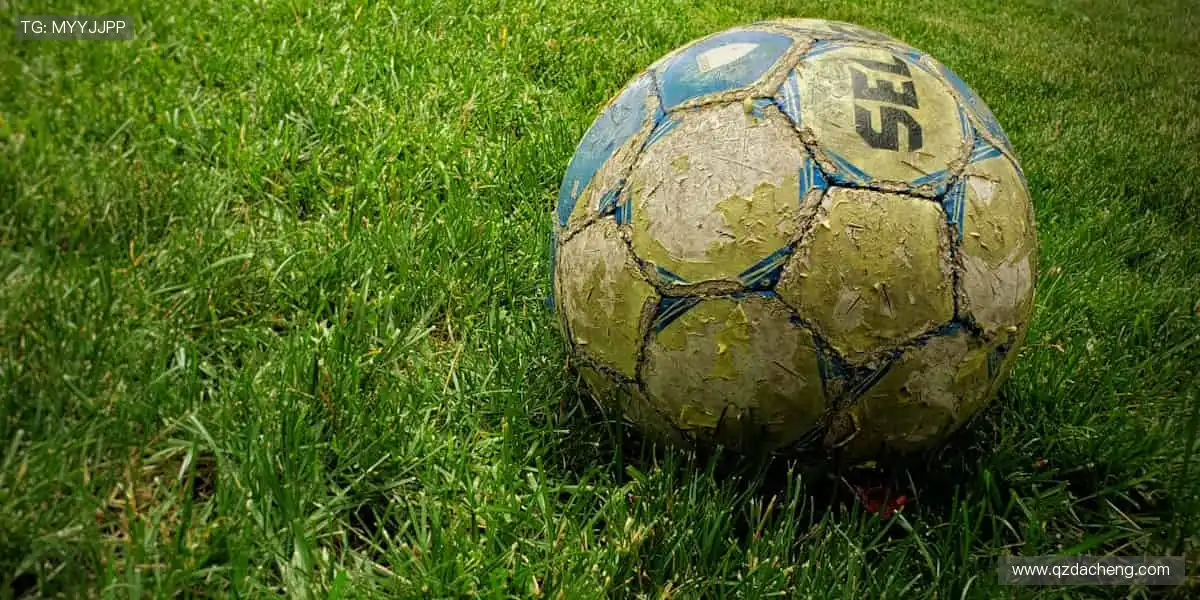 🔴实时互动,弹幕刷屏点燃观赛热情!